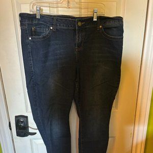 Torrid Jeans